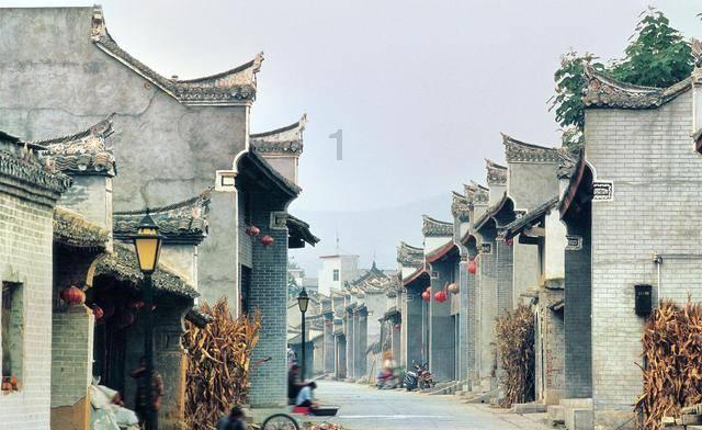 1月21日报道,海南三亚搁浅领航鲸爱吃鱿鱼一天吃40斤 ,救助人员称目前它已能自主游动进食