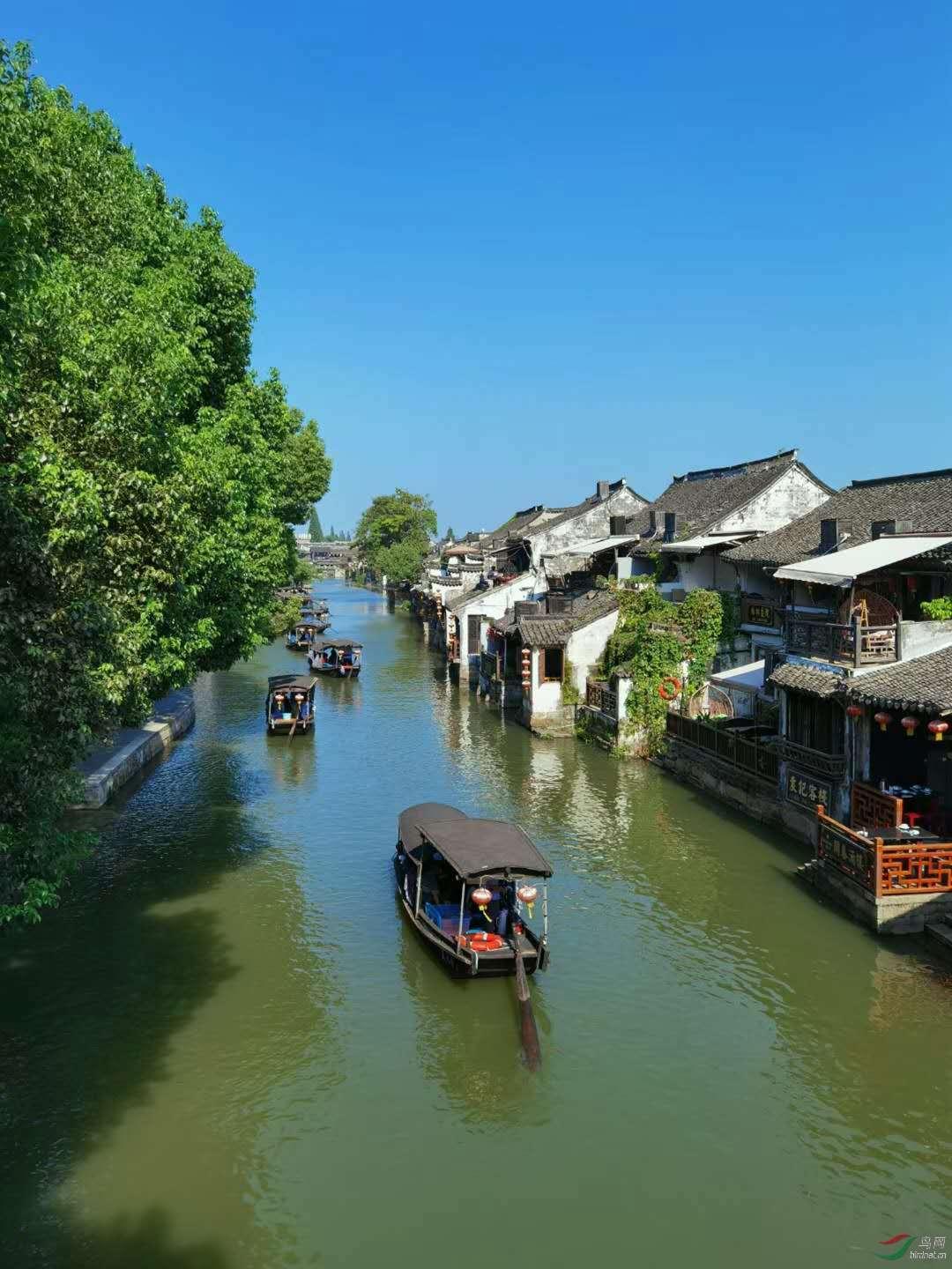 两会好声音 | 王承华:建议把心理疾病治疗纳入医保